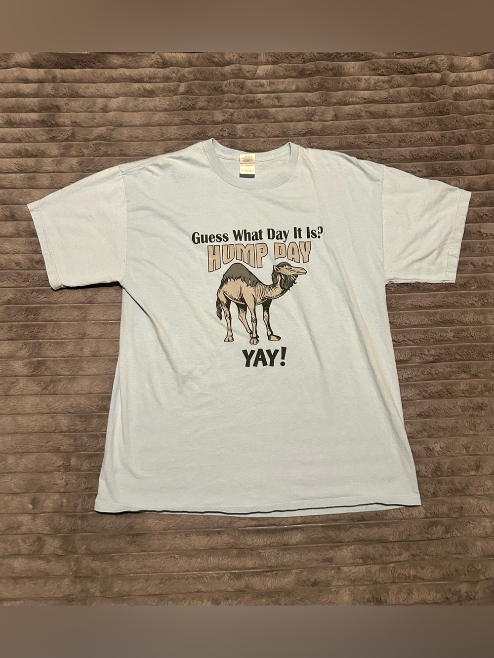 "Guess What Day It Is? HUMP DAY" Parody Graphic T-Shirt